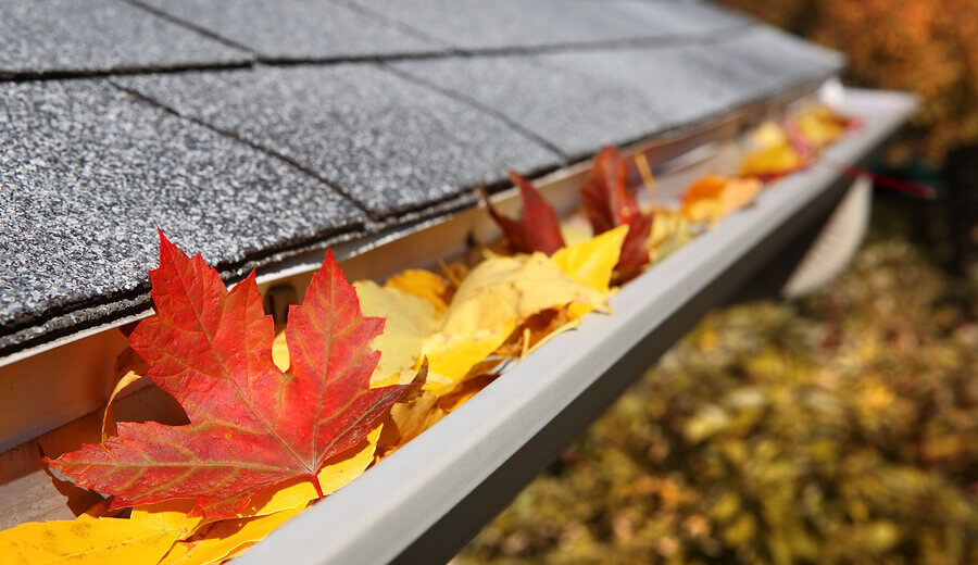 Gutter protection systems Highland Heights Ky