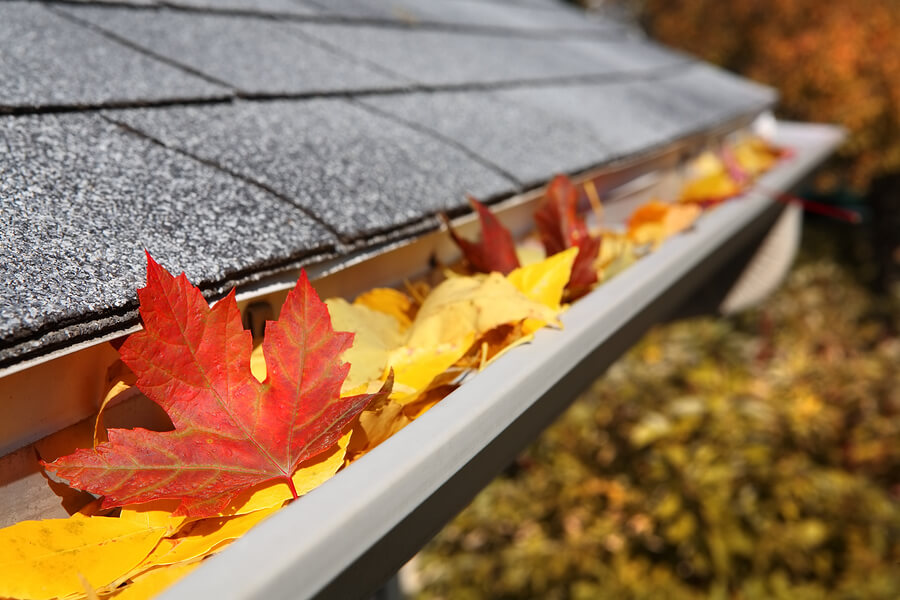 Gutter protection systems Highland Heights Ky