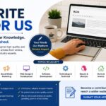 Why Choosing the Right SEO Company in Rewa Can Transform Your Online Growth